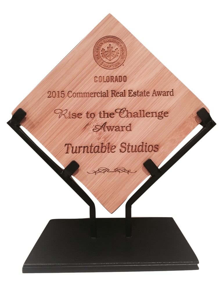 2015 Rise to the Challenge Award